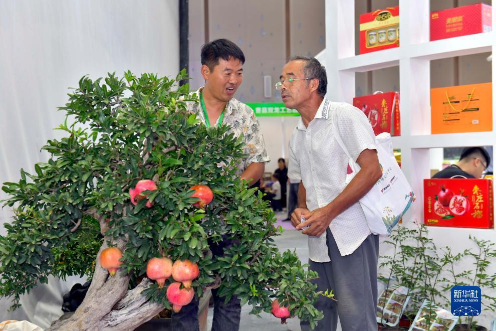 捕鱼游戏大厅手机版